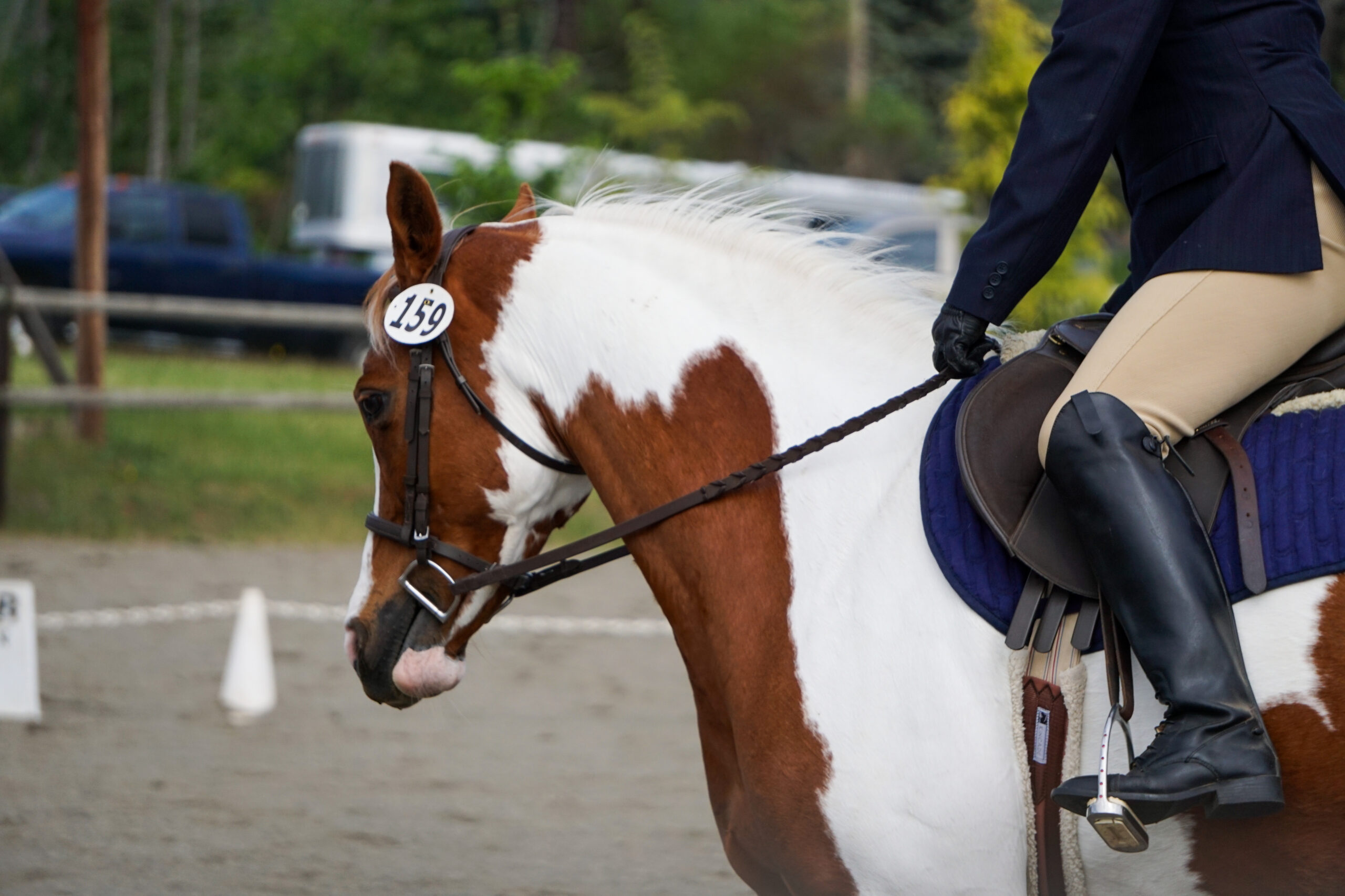 HRSC Dressage Schooling Show – May 20, 2023